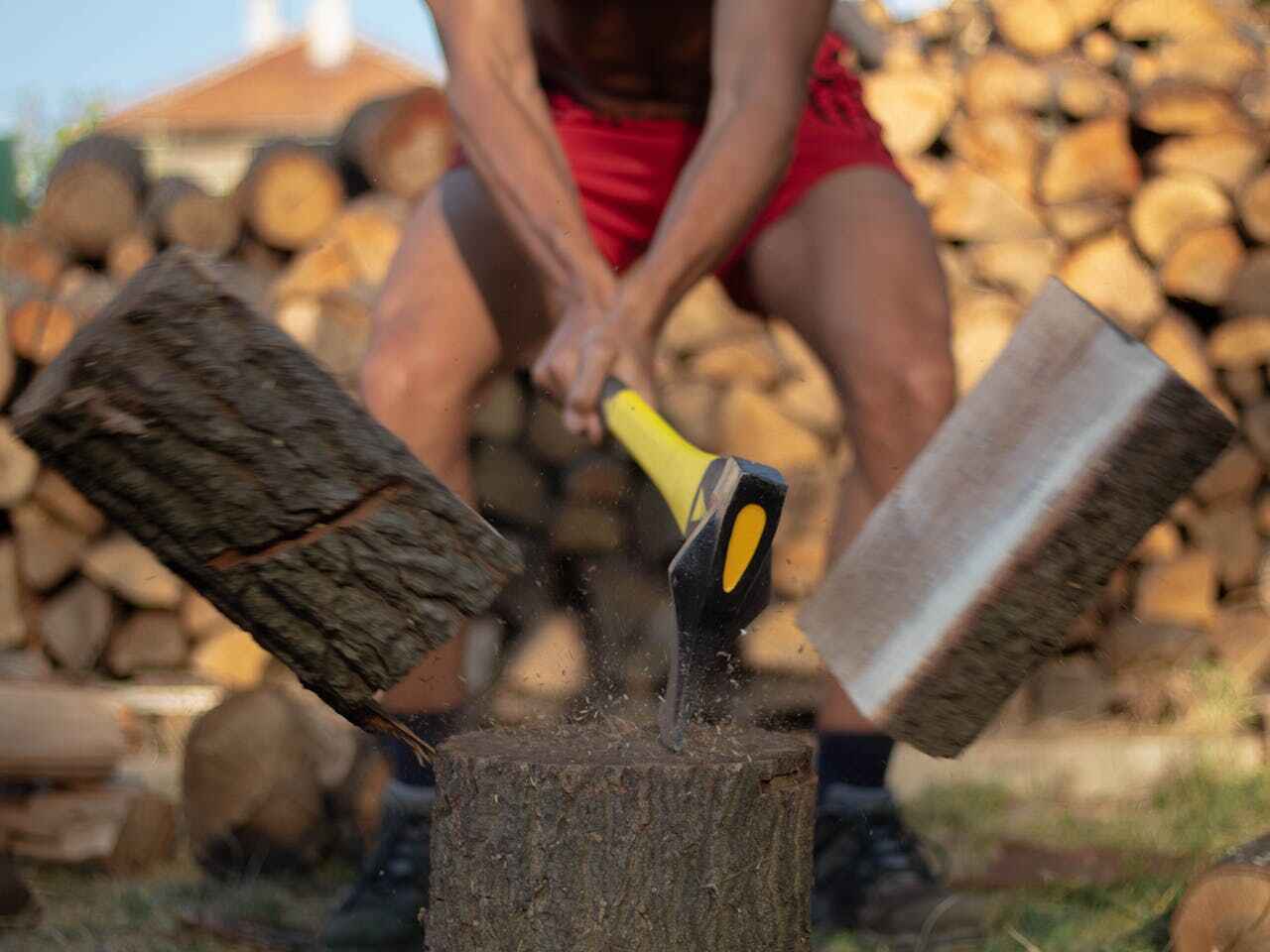 Best Affordable Tree Cutting  in USA